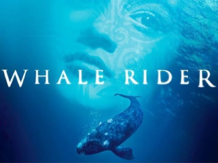 Napier Night Shelter Fundraiser - Whale Rider