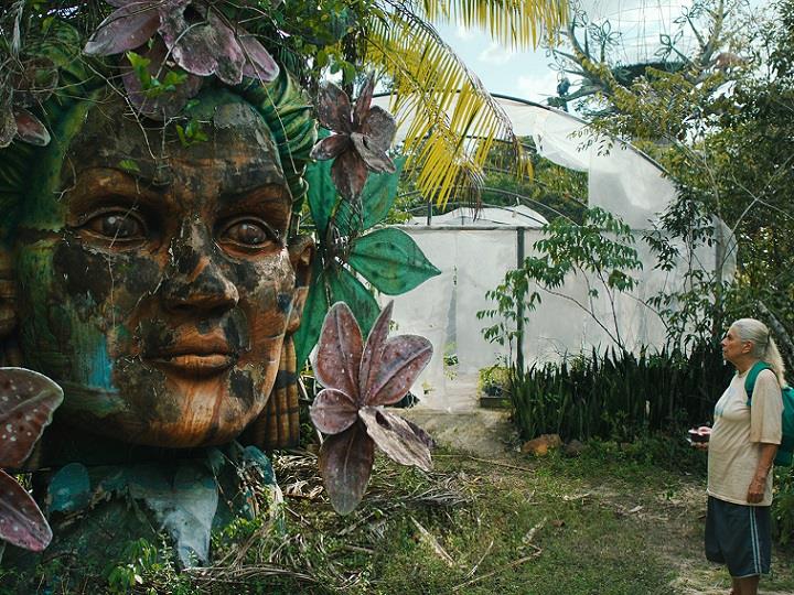 NZIFF25: The Blue Trail